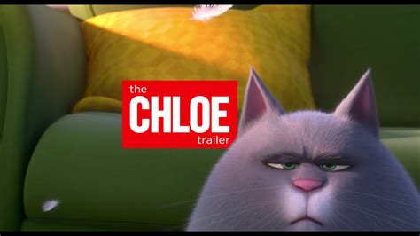 Chloe the Cat