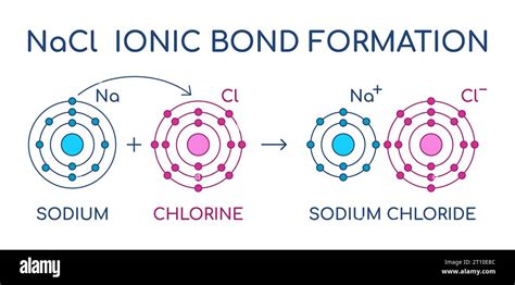 Chloride ion structure.  So sodium chloride (and any other ionic compou...