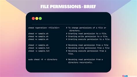 Chmod Command – How to Change File Permissions in Linux