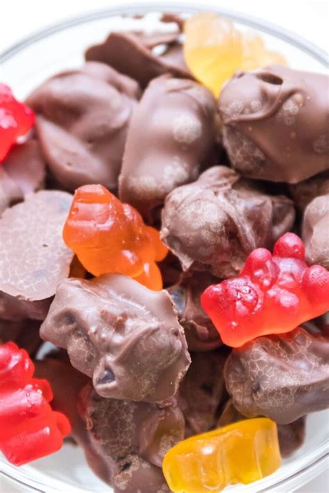 Chocolate Covered Gummy Bears Recipe - Recipes.net