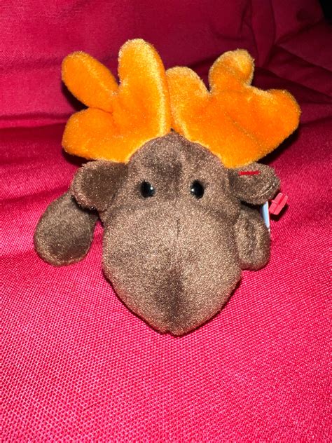 Chocolate the Moose Beanie Baby - Etsy