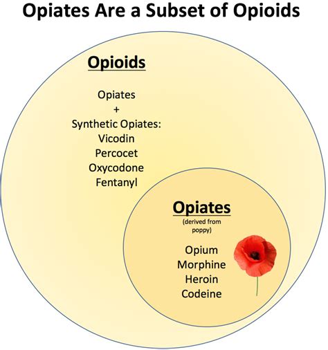 Choice of opioid - The Lancet