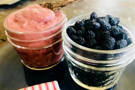 Health Ailments. Opinion. High School Student’s Award-Winning Science Fair Project Validates Cancer-Killing Potential of Traditional Native American Chokecherry Pudding. ….
