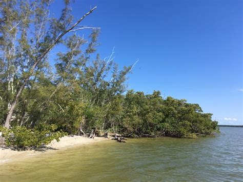 Chokoloskee Bay (Everglades National Park)