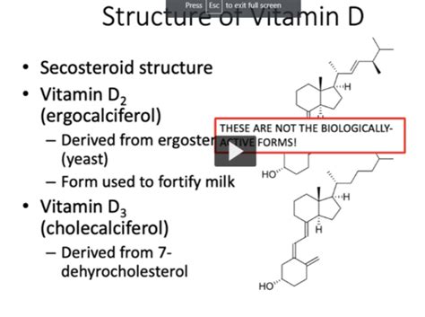 Cholecalciferol Flashcards Quizlet