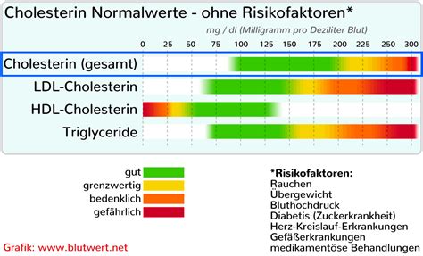 Cholesterinwerte - die wichtigen Werte HDL und LDL