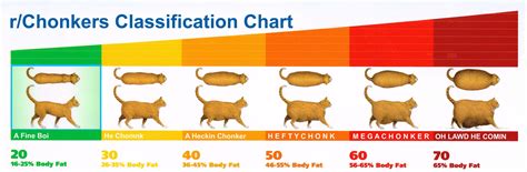 Jun 1, 2022 · During this time, a Photoshopped chart of feline body-fat indexes renamed the “chonk chart,” compared various weights to terms like “a heckin’ chonker,” “hefty chonk” and “mega ... . 