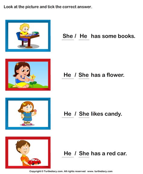 Choose Between She and He Turtle Diary Worksheet Worksheets Library