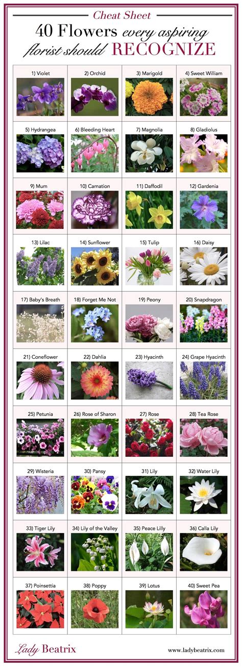 Choose by Type Of Flowers in Waimate by World Florist Association