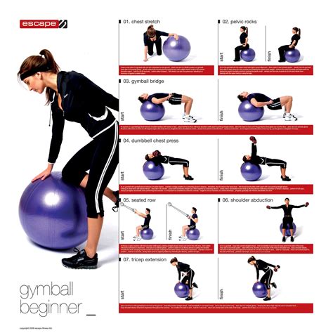 Choosing And Using An Exercise Ball