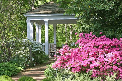 Choosing Shrubs For Southern Gardens - Gardening Know How