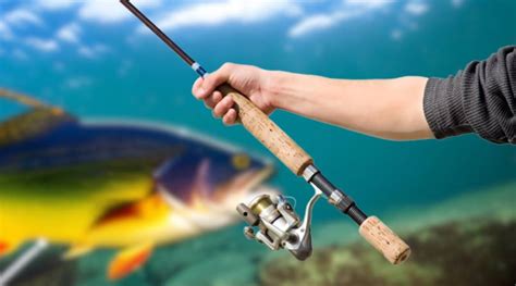 Choosing The Right Rod The Ultimate Bass Fishing