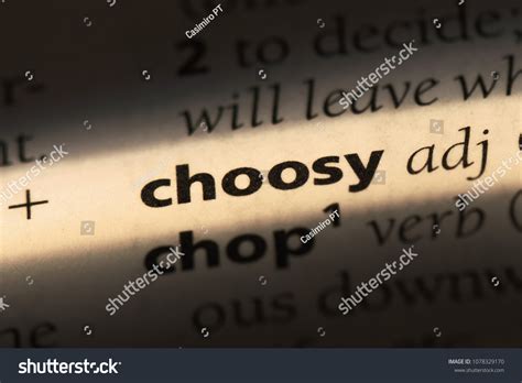 Choosy slang.  WordSense Dictionary: choosy - spelling, hyphenation, synonym...