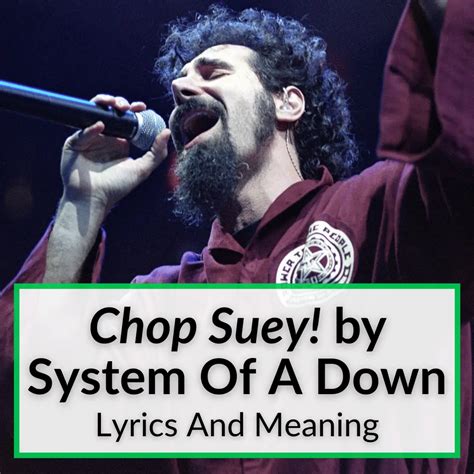 Chopped suey lyrics. Things To Know About Chopped suey lyrics. 