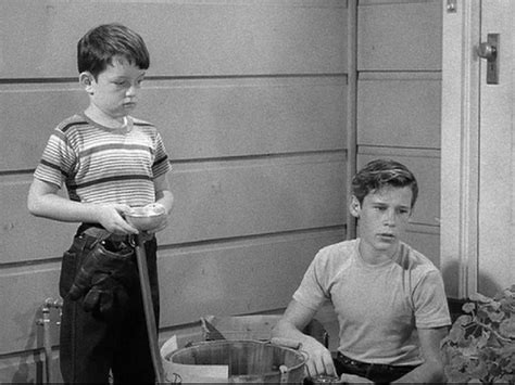 New Neighbors: Directed by Norman Tokar. With Barbara Billingsley, Hugh Beaumont, Tony Dow, Jerry Mathers. June sends Beaver with a welcome-to-the-neighborhood bouquet to new next-door neighbor Mrs. Donaldson; but when the little boy is rewarded with a kiss on his cheek, rascally Eddie Haskell warns that a jealous Mr. Donaldson will soon show up …. 