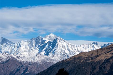 Chopta, Mandal & Sattal Birding Tour Journey to the paradise ...