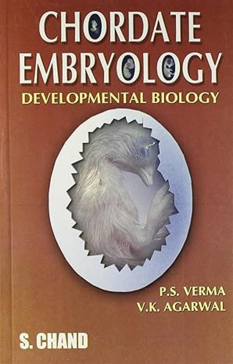 Chordate Embryology Thebookee Mcqs Net On