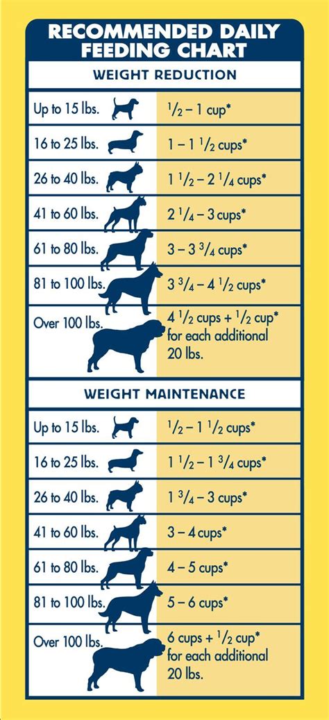 Chow Chow Food Calculator, Feeding Guide, and Chart