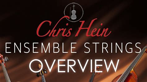 Chris Hein Ensemble Strings VI-CONTROL