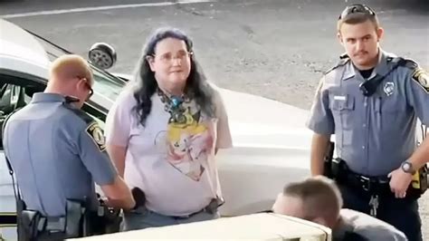 Christine Chandler, known as Chris Chan, continued to interrupt her bond hearing to brag about their Internet fame and correct the judge's pronoun use ... Chandler was arrested after allegedly ...