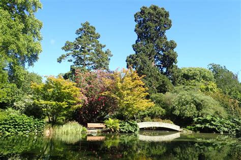 Christchurch Botanic Gardens - Wikipedia