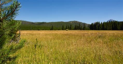 Christensen Meadows & Rogers Meadow - EXPERIENCE …