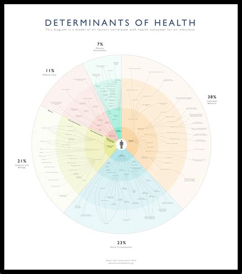 Christian Chabot on LinkedIn: Determinants of Health Visualized