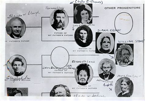 Christina Hasenknopf - Historical records and family trees