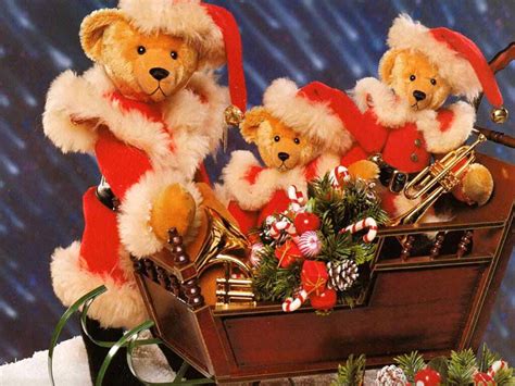 Christmas Bears add a sweet touch to holiday