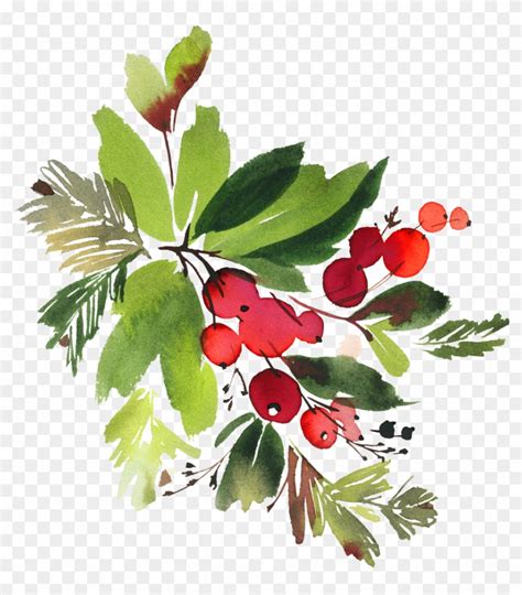 Christmas Clipart. Watercolor Winter Decor PNG