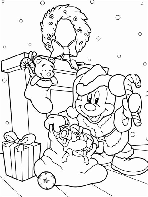 The Beautiful Nature Coloring Book