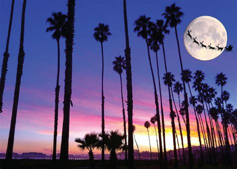 Christmas Palm Trees in Santa Barbara Box of 10 Holiday Cards with