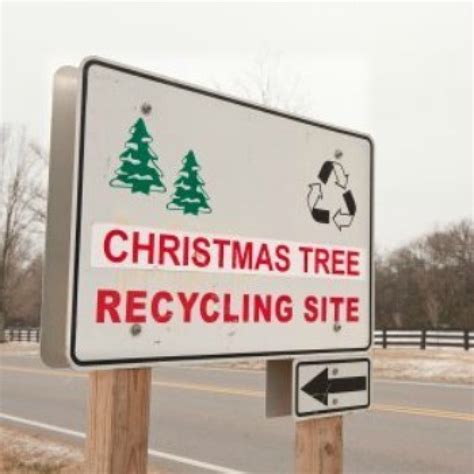 Christmas Tree recycling in Troy