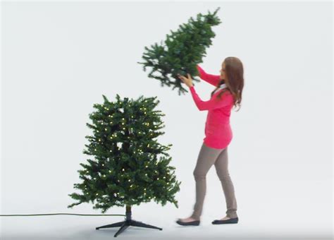 Christmas Trees Videos (Copy) — Polygroup