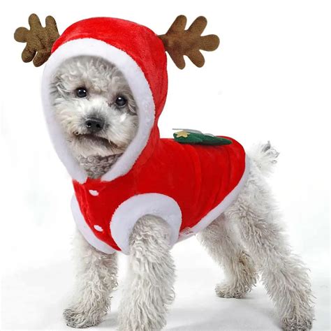 Christmas dresses for dogs. Things To Know About Christmas dresses for dogs. 