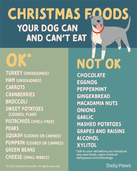 Christmas foods your dog can eat and which ones to avoid