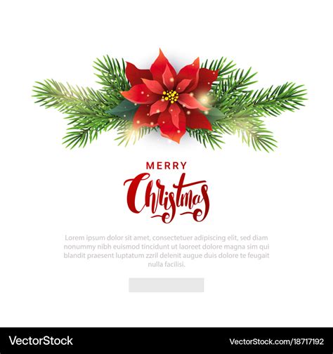 Christmas template for email list with poinsettia Vector Image