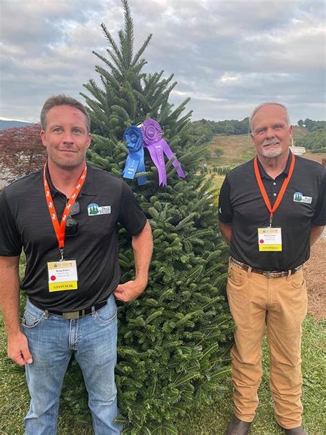 Christmas tree farms in Ashe County, North Carolina