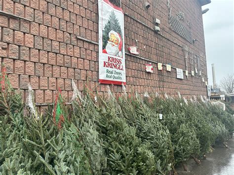 Christmas tree retailers say supply dwindling as demand increases