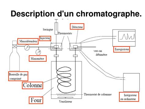 Chromatographie en phase gazeuse des steroïdes hormonaux appliquée aux liquides biologiques. - Note taking guide episode answers key.