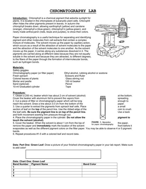 Chromatography Lab Answers
