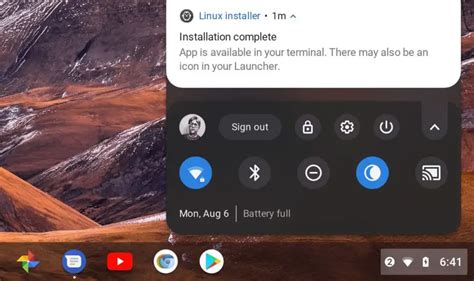 Chrome Os Launcher Function To Search For Linux App Installs Postponed