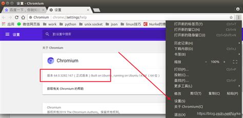 Chrome Webdriver的下载安装_webdriver下载_Nurke的博客 …