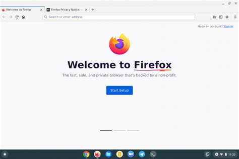 Chrome os firefox doesn