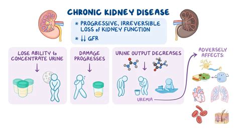 Chronic Kidney Disease (CKD) - Medscape