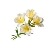 Chronicle and echo obituaries.  Published by Northampton Chronicle Search obituaries...