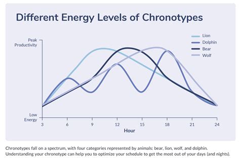 Chronotype & Exercise Timing: How Your Body Clock Affects Workouts (2026)