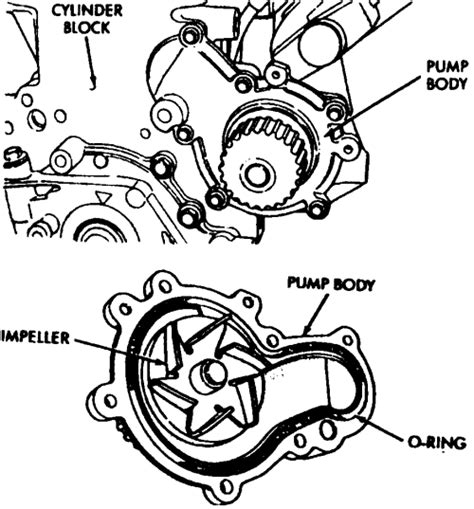 Chrysler cirrus water pump repair manual. - Nissan micra 2004 werkstatthandbuch kostenloser download.