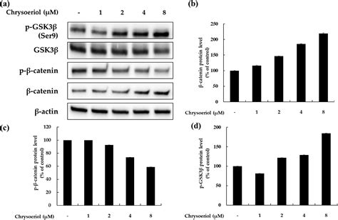 Chrysoeriol Enhances Melanogenesis in B16F10 Cells Through the ...