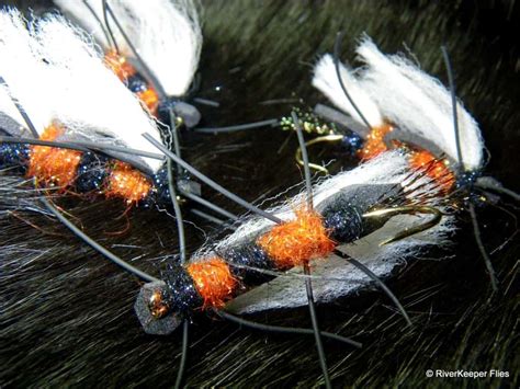 Chubby Chernobyl Fly Patterns